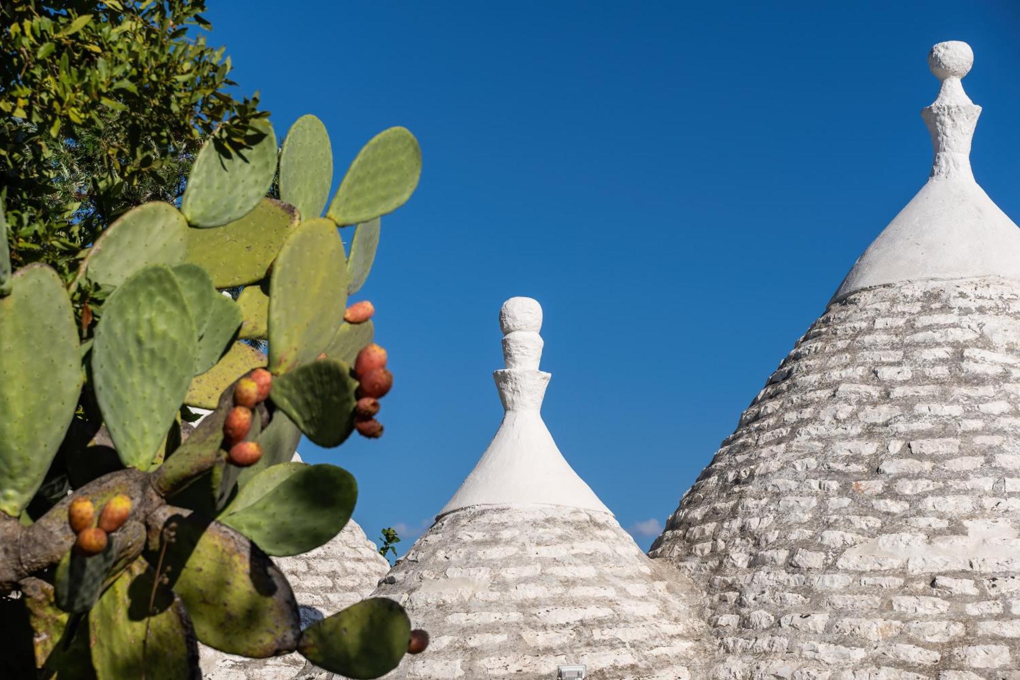 Trullo Limone Holiday home Ostuni